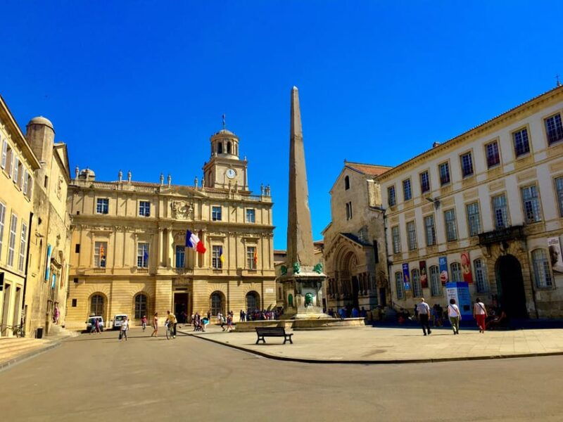 Arles & Camargue Natural Park (including Aigues Mortes) - Highlights of Arles