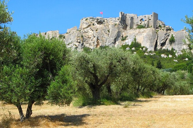 Arles, Les Baux and Saint-Remy Villages Full Day Trip From Aix - Practical Information and Tips