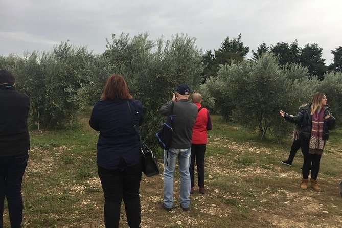 Arles & Les Baux De Provence Tour - The Sum Up