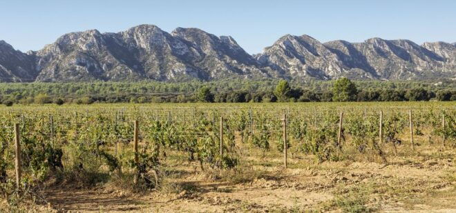 Arles, Saint-Rémy & Les Baux De Provence: Guided Tour - Customer Reviews
