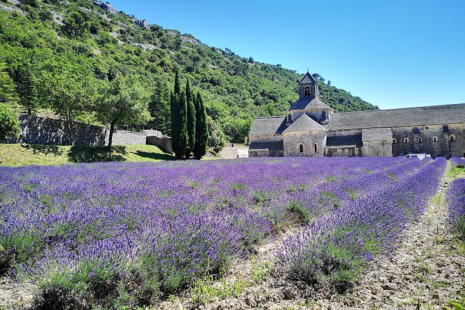 Arles Small Groupe Tour : Private Day Trip to Luberon Villages - Tour Details and Itinerary