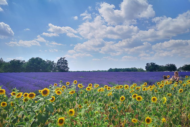 Arles Small Groupe Tour : Private Day Trip to Luberon Villages - Additional Information and Policies