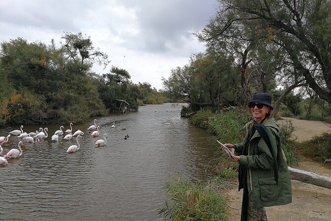 Arles - St Remy - Les Baux De Provence - 8h - Arles - Roman Ruins and Van Gogh