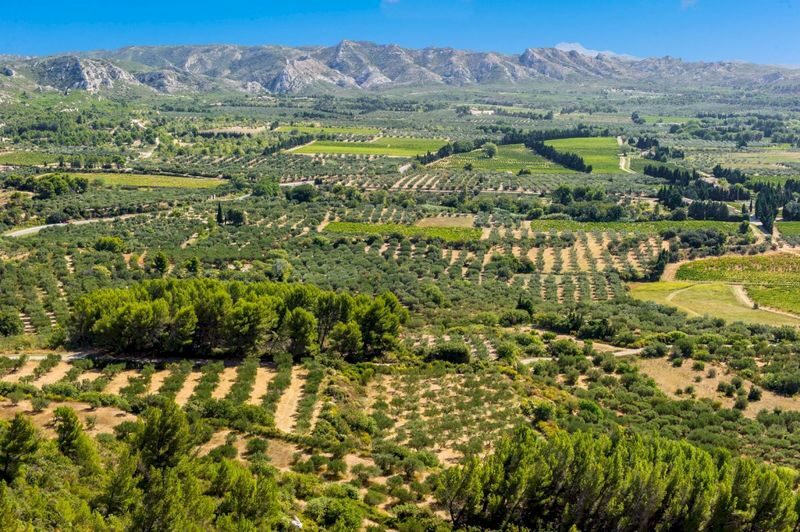 Arles, St Remy & Les Baux Village Day Tour from Aix en Provence - Practical details before you reserve