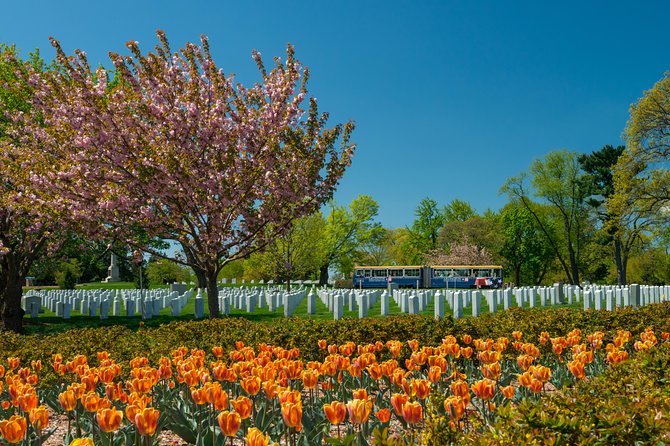 Arlington National Cemetery Hop-On Hop-Off Tour With Guide - Reviews