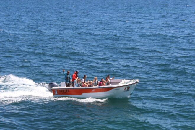 Armação De Pêra: Guided Boat Tour of Benagil's 15 Best Caves - Important Booking Information