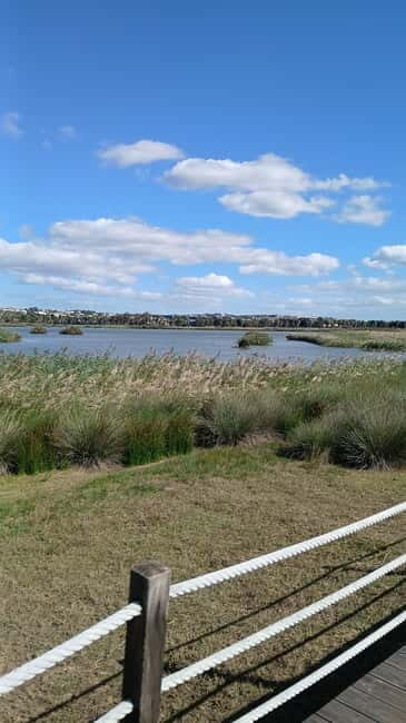 Armação de Pera: Salgados Natural Park E-Bike Tour - What to Expect on the Tour