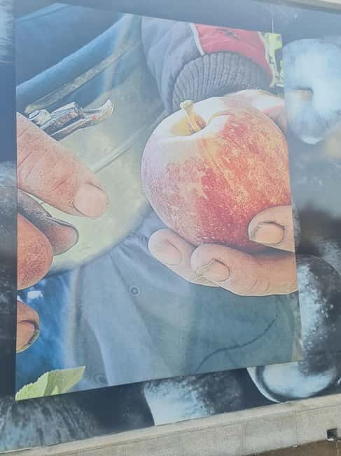 Armamar: Apple Orchard Tour with Lunch and Tastings - Why the Armamar Apple Orchard Tour Offers Great Value