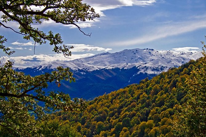 Armenia Between Nature and Religion / 10 Days - Sampling Armenian Cuisine Delights