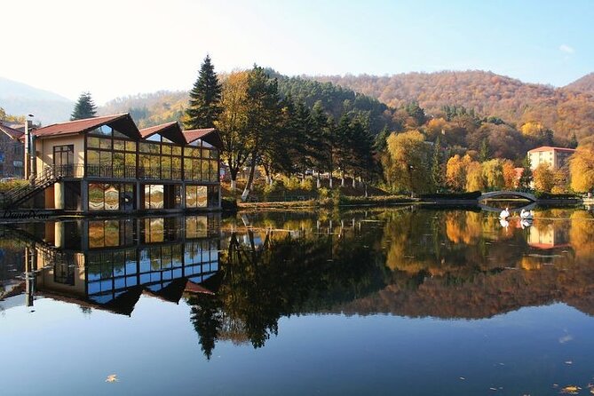 Armenia Day Trip From Tbilisi: Private Experience - Important Information