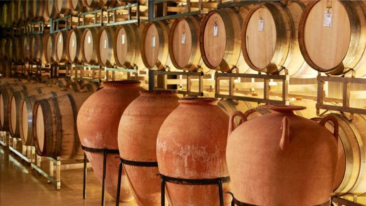 Armenia Wine Tour Lands - Experience Highlights