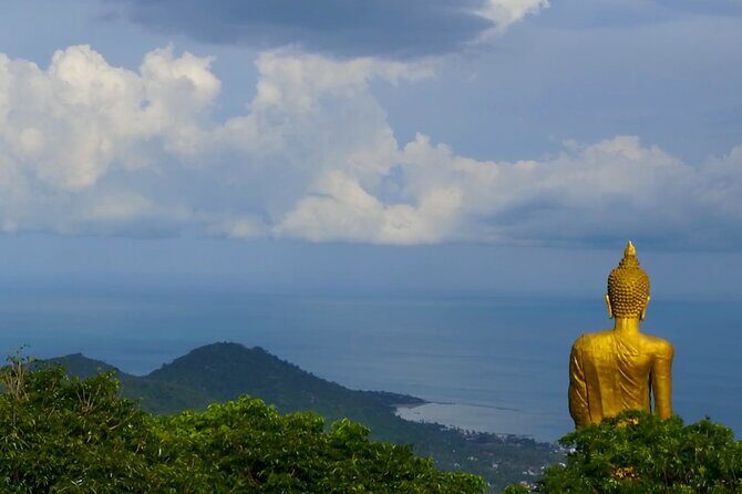 Army Jeep Jungle Safari and Elephant Freedom Rescue Centre Tour - Final Thoughts: Who Is This Tour Perfect For?