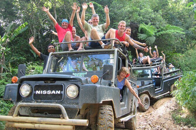 Army Jeep Jungle Safari and Elephant Freedom Rescue Centre Tour - The Sum Up