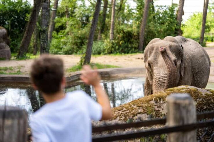 Arnhem: Burgers Zoo Entry Ticket - Zoo Experience Overview