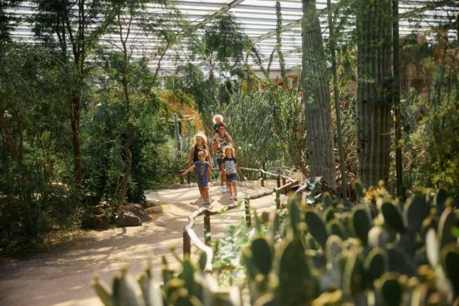 Arnhem: Burgers Zoo Entry Ticket - Accessibility and Amenities