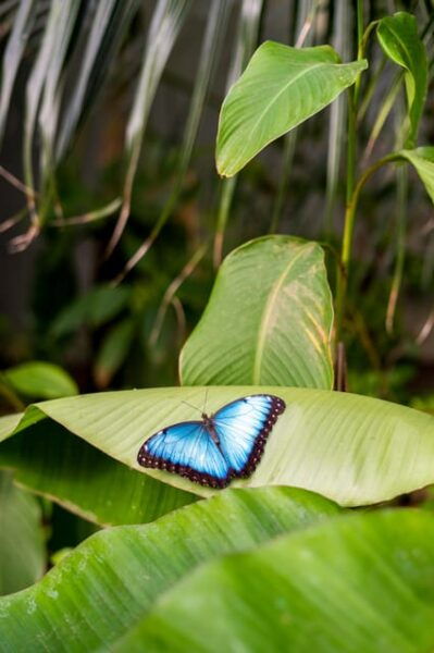 Arnhem: Burgers Zoo Entry Ticket - Discovering Diverse Wildlife