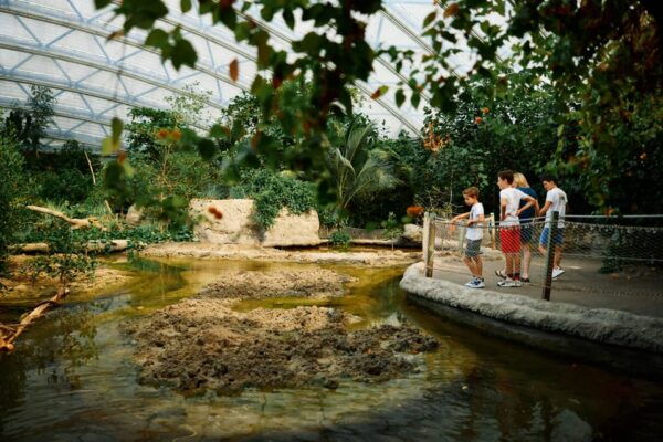 Arnhem: Burgers Zoo Entry Ticket - Recreated Natural Habitats