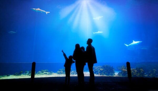 Arnhem: Burgers Zoo Entry Ticket - Frequently Asked Questions