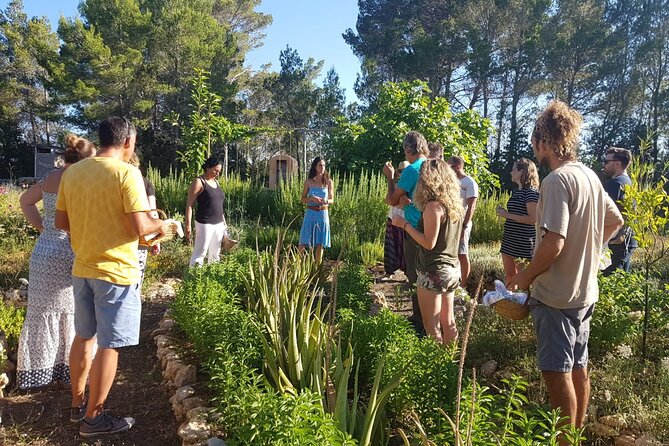 Aromatic Experience in the Medicinal Garden in Ibiza - Garden Overview