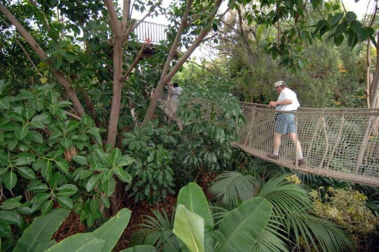 Arona: Entry Ticket to Tenerife's Jungle Park Zoo - Ticket Details and Benefits