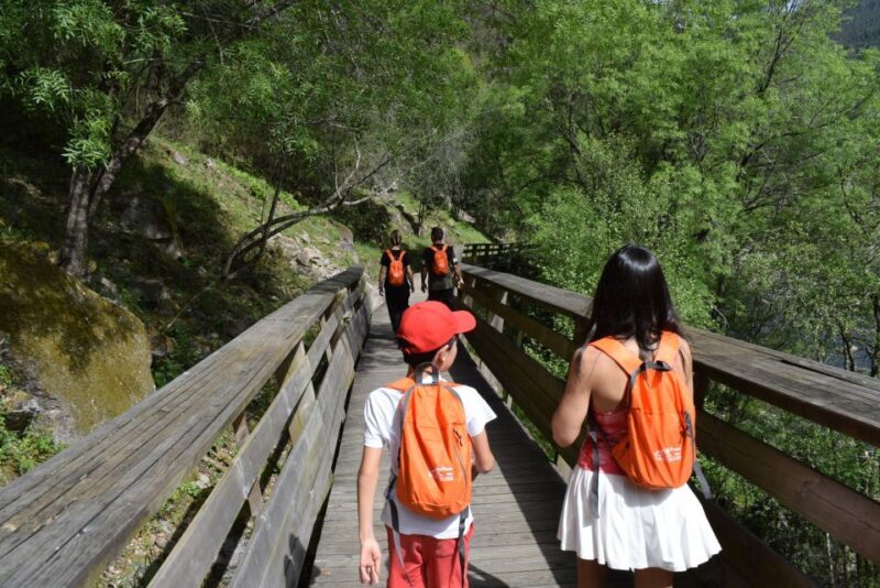 Arouca: Guided Tour Paiva Walkways + 516 Suspension Bridge - An Intimate Look at the Itinerary