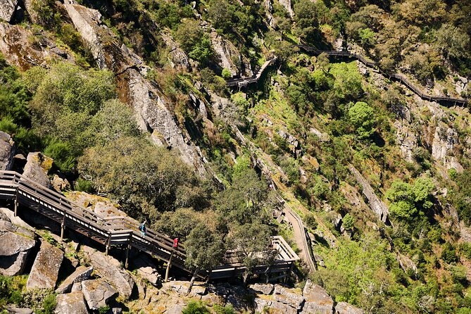 Arouca Suspension Bridge and Paiva Walkway Day Tour From Porto - Highlights of the Tour