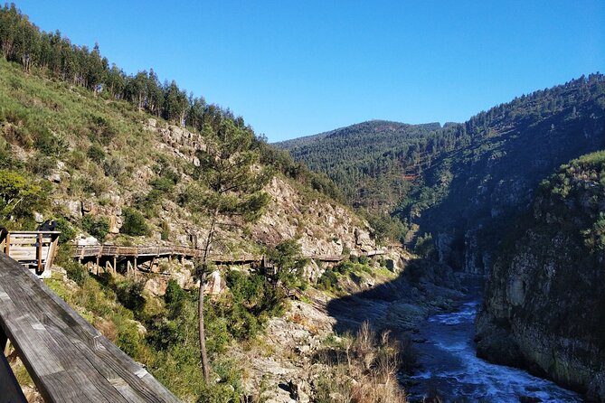 Arouca Suspension Bridge and Paiva Walkway Day Tour From Porto - Customer Reviews and Recommendations