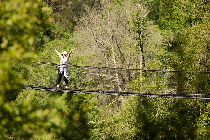 Arouca Suspension Bridge and Paiva Walkway Day Tour From Porto - Spectacular Views and Thrilling Experiences