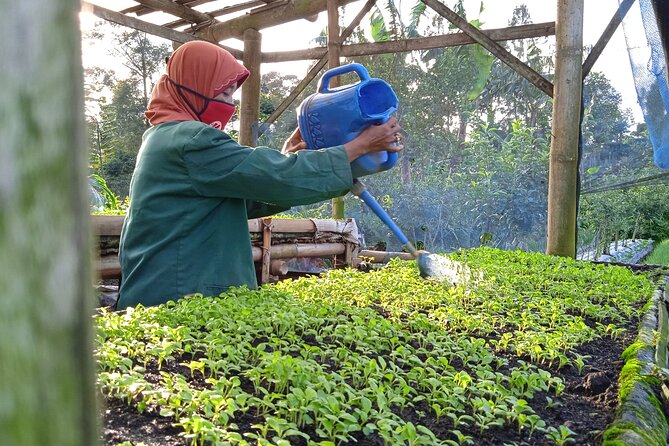 Around Bromo Farming Experience - Farming Activities Offered
