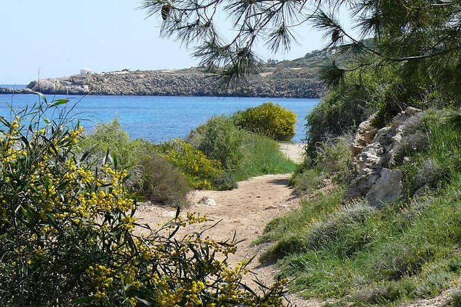 Around Cape Greko Walk (Upto 10 Km) - From Larnaca - Group Size Pricing
