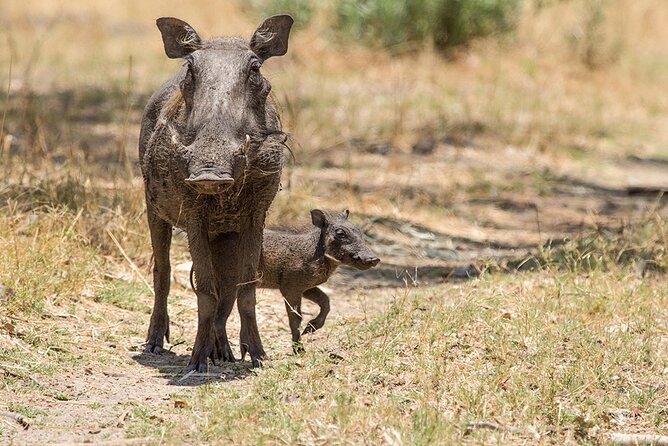 Around Gaborone Adventure - Frequently Asked Questions