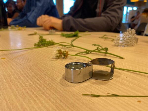 Around Lyon: Nature Bachelor and Bachelorette Party - Tips for a Memorable Day