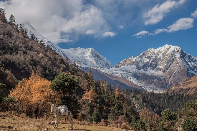 Around Manaslu Trek - Trek Highlights