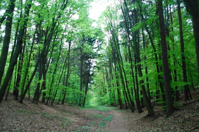 Around Prague Beautiful Parks on E-Bike - Safety Measures and Guidelines