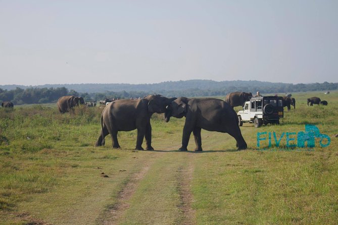 Around Sri Lanka Tour Packages , 8 Days With Driver ,Vehicle and Accommodation. - Price and Booking Information