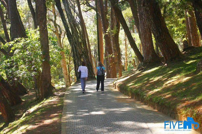 Around Sri Lanka Tour Packages , 8 Days With Driver ,Vehicle and Accommodation. - Booking Directions and Process