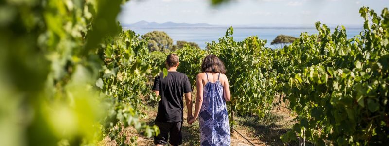Around the Bay Food and Wine Tastings Tour from Melbourne - At a glance: the best parts of the day