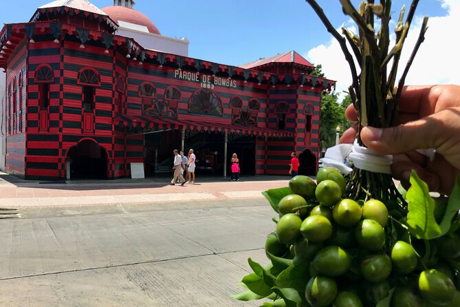 Around the Island Tour From San Juan - Review Insights