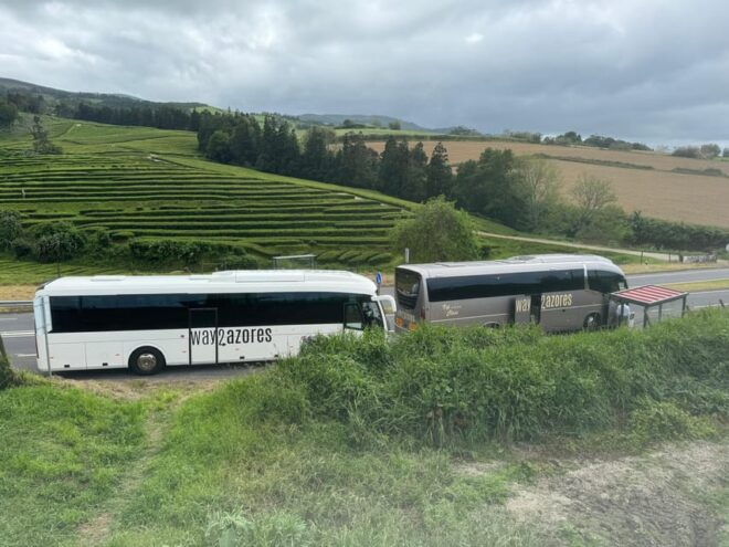 Around the Island - Visit Furnas - Meeting Point and Regulations