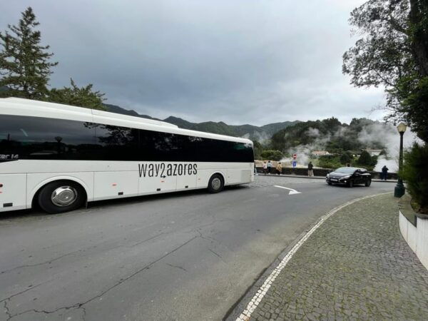 Around the Island - Visit Furnas - Gorreana Tea Factory Tour