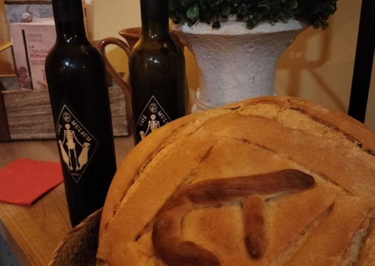 Arqueogastronomic Experience - Wine Tasting - Experience Details