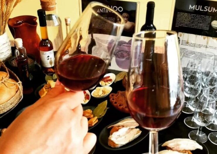 Arqueogastronomic Experience - Wine Tasting - Activity Highlights