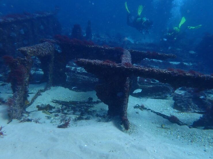 Arrábida: Advanced Adventure Diving Course - Booking and Logistics