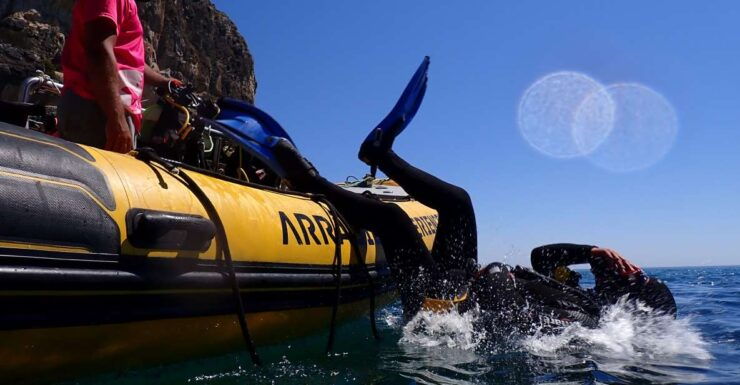 Arrábida: Advanced Adventure Diving Course - Instructor and Language Proficiency