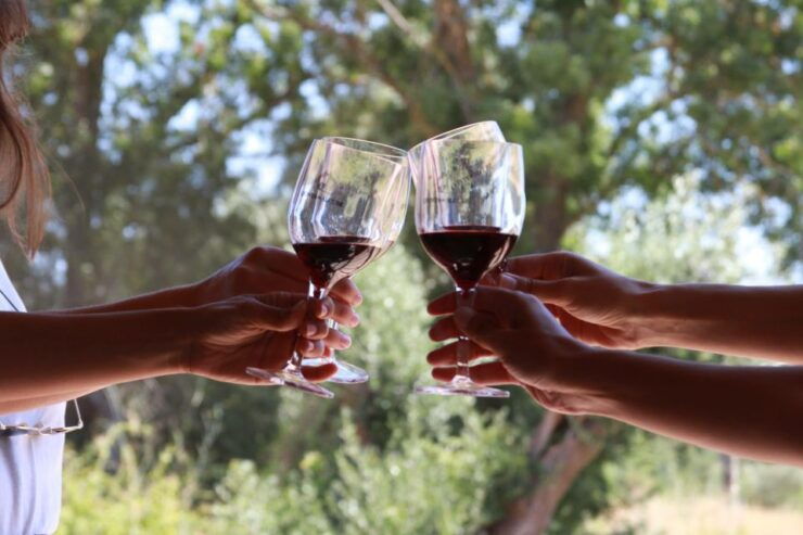 Arrábida and Sesimbra Day Tour & Wine Tasting - Explore Palmela and Sesimbra