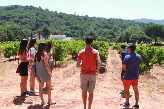 Arrábida and Sesimbra Day Tour & Wine Tasting - Discover the Arrábida Natural Park
