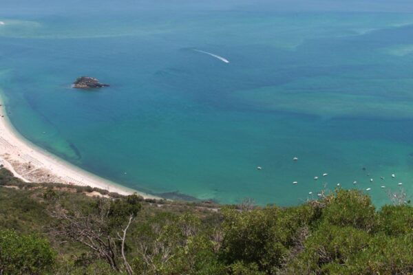 Arrábida and Sesimbra Day Tour & Wine Tasting - Common Questions