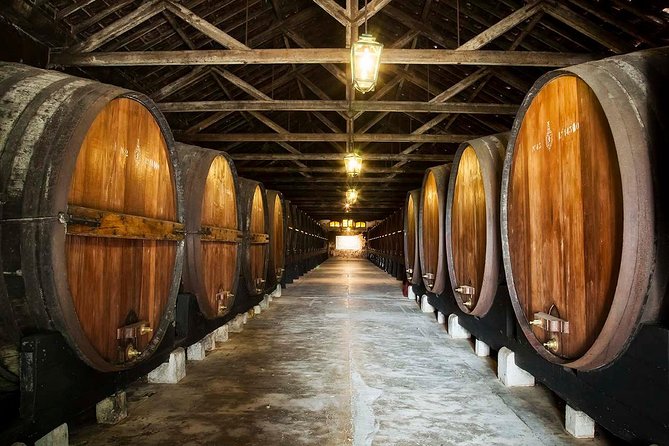 Arrabida and Sesimbra Wine Tasting Tour From Lisbon - Tour Overview