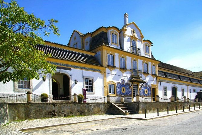 Arrabida and Sesimbra Wine Tasting Tour From Lisbon - Itinerary Highlights