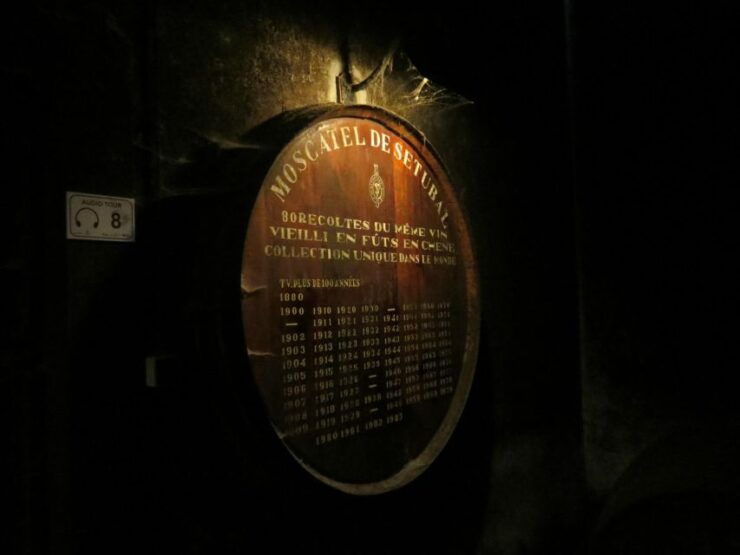 Arrábida and Sintra: Full-Day Private Wine Tour - Itinerary Details